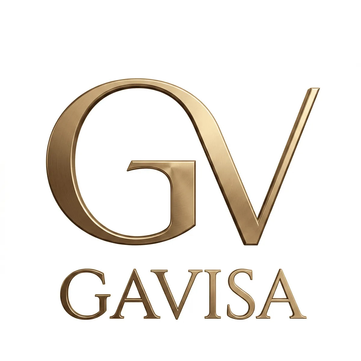 Gavisa Logo Horizontal